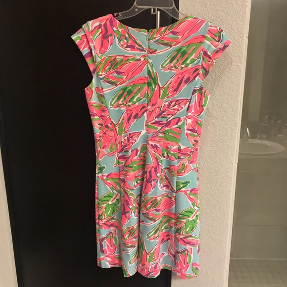 Lilly Pulitzer dress - Picture 6 of 6